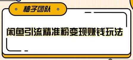 闲鱼引流精准粉变现赚钱玩法，每天可以引流精准粉100+-清华无忧课程网