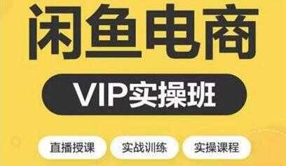 闲鱼副业项目月入过万进阶课程，教你掌握闲鱼电商所需的各项技能-清华无忧课程网