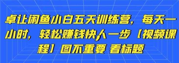 卓让《闲鱼项目小白五天训练营》每天一小时，轻松赚钱快人一步-清华无忧课程网