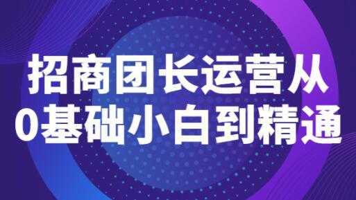 《招商团长运营》从0基础小白到精通-清华无忧课程网