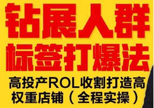 逐鹿《淘宝钻展人群标签打爆法》高投产ROL收割打造高权重店铺(全程实操)-清华无忧课程网