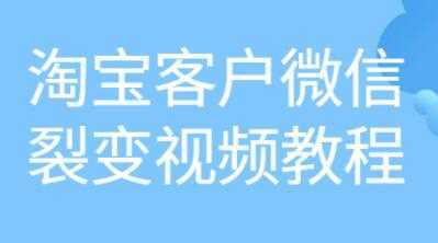 《淘宝客户微信裂变》培训课程视频教程-清华无忧课程网