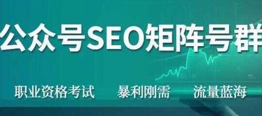 高鹏圈《公众号SEO矩阵号群项目》实操20天纯收益25000+，普通人都能做-清华无忧课程网