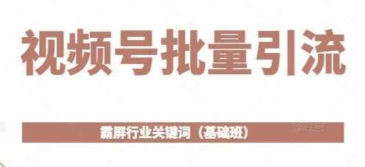《视频号批量引流》霸屏行业关键词玩法（基础班）-清华无忧课程网