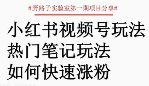 小红书视频号项目，直接上手操作，月入过万-清华无忧课程网