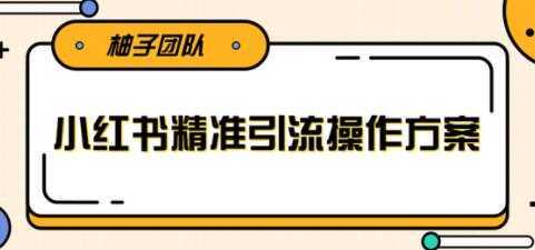 小红书精准引流操作方案，能够直接落地实操引流技术-清华无忧课程网