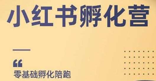 小红书撸金项目，教你如何快速起号获得曝光，做到月躺赚在3000+-清华无忧课程网