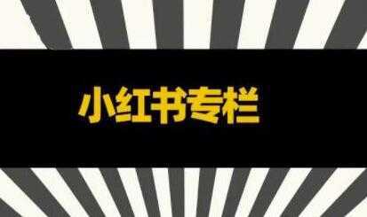 品牌医生《小红书全链营销干货》5个起盘案例，营销策略规划，避坑指南-清华无忧课程网