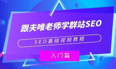 夫唯《群站seo优化教程视频》SEO基础视频教程-清华无忧课程网