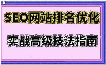 樊天华《SEO网站排名优化》实战高级技法指南-清华无忧课程网