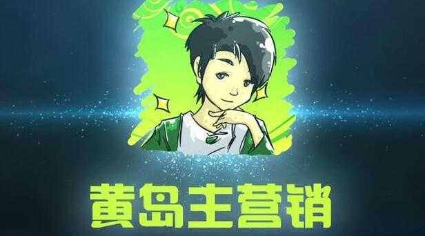 黄岛主引流课程：抖音SEO被动精准引流玩法大解析-清华无忧课程网