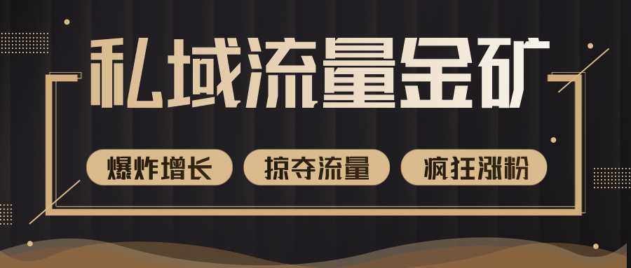 价值2200元私域流量的金矿，循环获取各大媒体精准流量，无限复制网红的精准流量！-清华无忧课程网