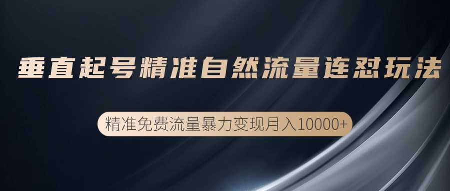 垂直起号精准自然流量连爆玩法，精准引流暴力变现月入10000+-清华无忧课程网