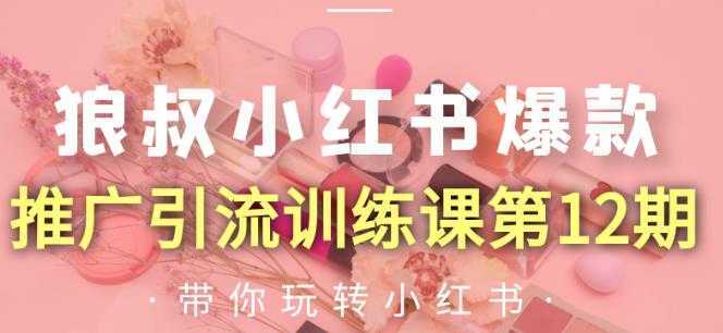 图片[1]-狼叔小红书爆款推广引流训练课第12期，手把手带你玩转小红书-清华无忧课程网