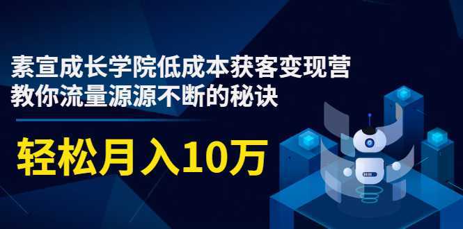 图片[1]-素宣成长学院低成本获客变现营，教你流量源源不断的秘诀，轻松月入10万-清华无忧课程网