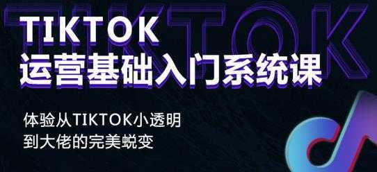 视频号批量引流，霸屏行业关键词（基础班）全面系统讲解视频号玩法-清华无忧课程网