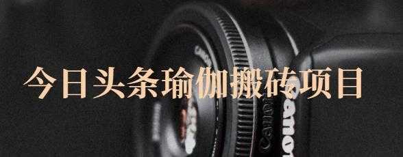 猎人社区·今日头条瑜伽搬砖项目，单号一天几十收入，可以批量操作！-清华无忧课程网