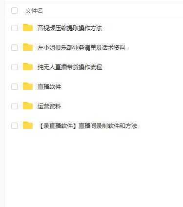 左小姐-直播带货俱乐部十三行、无人直播，全套教程附：工具、文档、话术资料-清华无忧课程网