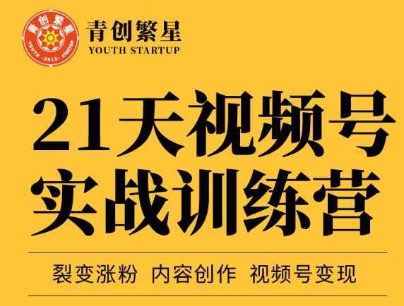 张萌21天视频号实战训练营，裂变涨粉、内容创作、视频号变现 价值298元-清华无忧课程网