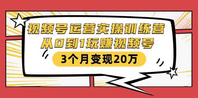 视频号运营实操训练营：从0到1玩赚视频号，3个月变现20万-清华无忧课程网