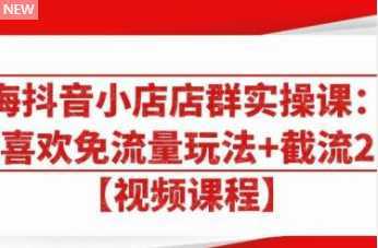 大海抖音小店店群实操课：猜你喜欢免流量玩法+截流 2.0-清华无忧课程网