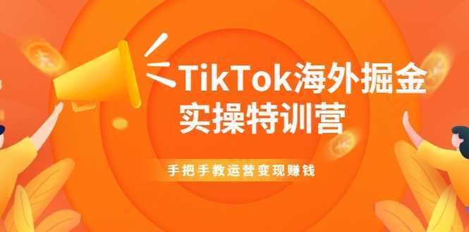 TikTok海外掘金实操特训营：手把手教运营变现赚钱-清华无忧课程网