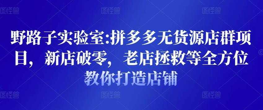 野路子实验室:拼多多无货源店群项目，新店破零，老店拯救等全方位教你打造店铺-清华无忧课程网
