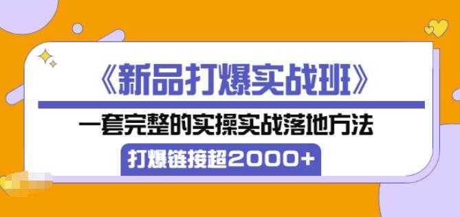 凌童《新品打爆实战班》,一套完整的实操实战落地方法，打爆链接超2000+（28节课)-清华无忧课程网