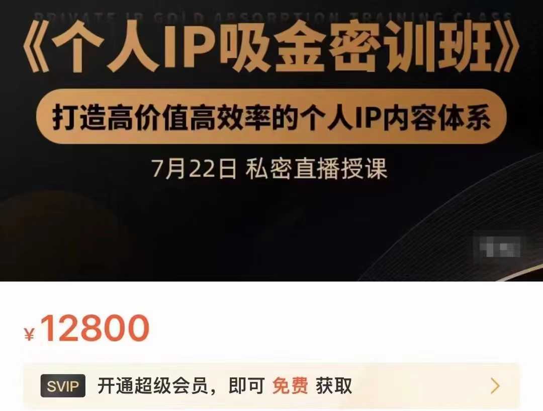 个人IP吸金密训班，打造高价值高效率的个人IP内容体系（价值12800元）-清华无忧课程网