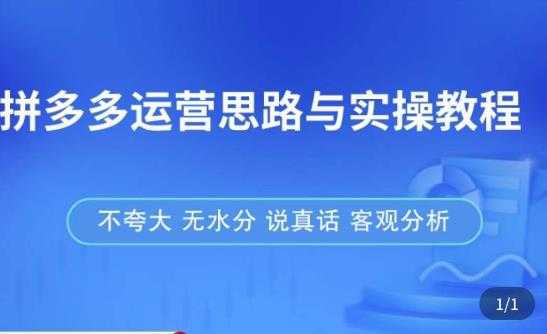 图片[1]-拼多多店铺运营思路与实操教程，快速学会拼多多开店和运营，少踩坑，多盈利-清华无忧课程网