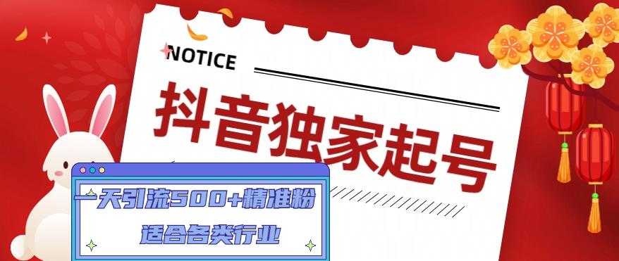 抖音独家起号，一天引流500+精准粉，适合各类行业（9节视频课）-清华无忧课程网