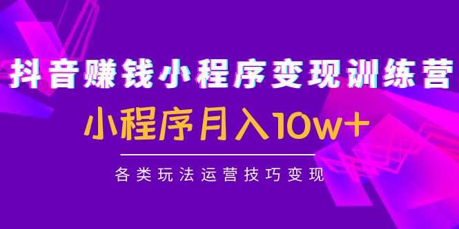抖音赚钱小程序变现训练营：小程序月入10w+各类玩法运营技巧变现-清华无忧课程网
