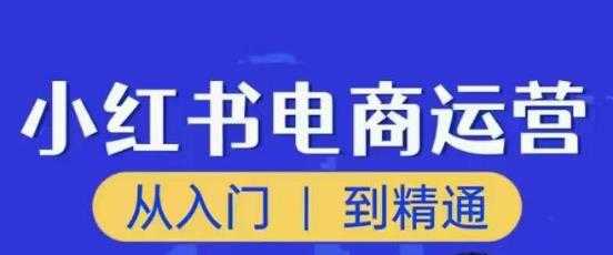 顽石小红书电商高阶运营课程，从入门到精通，玩法流程持续更新-清华无忧课程网