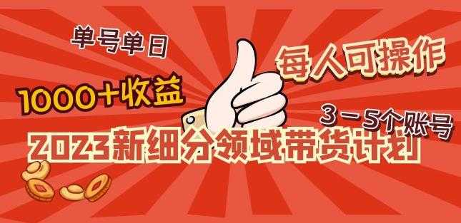 2023新细分领域带货计划：单号单日1000+收益不难，每人可操作3-5个账号-清华无忧课程网