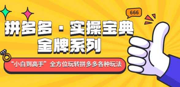图片[1]-拼多多·实操宝典：金牌系列“小白到高手”带你全方位玩转拼多多各种玩法-清华无忧课程网