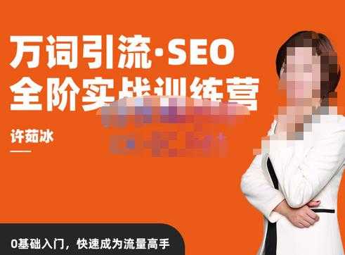 许茹冰·万词引流-SEO全阶实战训练营，0基础入门，快速成为流量高手-清华无忧课程网