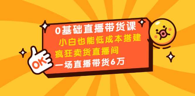 0基础直播带货课：小白也能低成本搭建疯狂卖货直播间：1场直播带货6万-清华无忧课程网