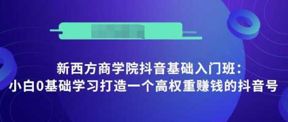 抖音基础入门班：小白0基础学习打造一个高权重赚钱的抖音号-清华无忧课程网
