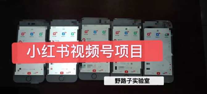 野路子小红书视频号1.0项目，直接上手操作就能赚钱的视频号项目-清华无忧课程网