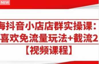 大海抖音小店店群实操课：猜你喜欢免流量玩法+截流 2.0-清华无忧课程网