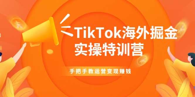 图片[1]-TikTok海外掘金实操特训营：手把手教运营变现赚钱-清华无忧课程网