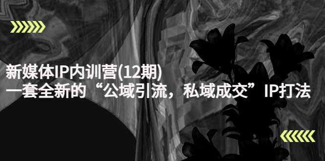 新媒体IP内训营(12期)，一套全新的“公域引流，私域成交”IP打法，直接带走-清华无忧课程网